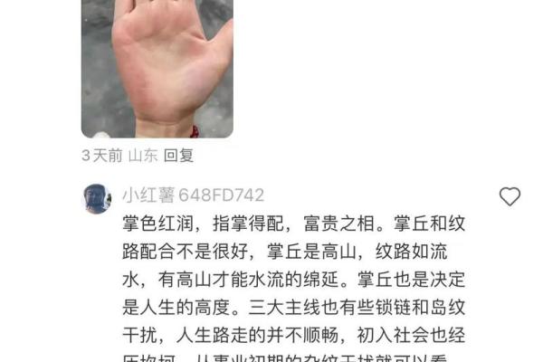 手型算命：兼型手人的性格与命运