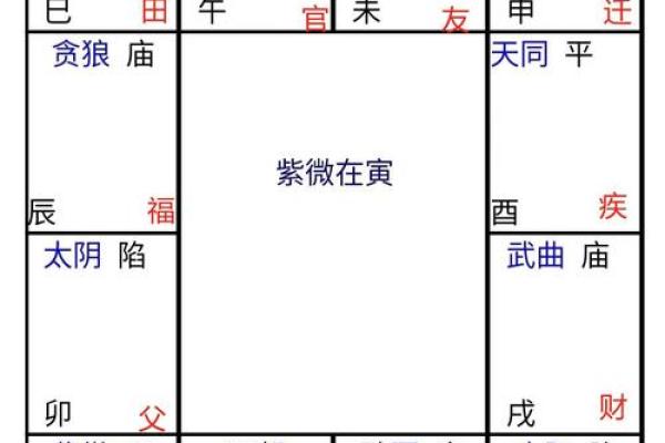 紫微斗数之疾厄宫与诸星，天府星在疾病宫是什么意思？