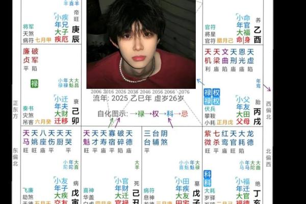 紫微斗数红鸾在官禄宫