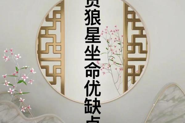 紫薇斗数贪狼火星