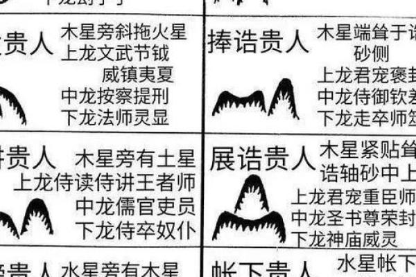 事关后代，墓地风水龙穴砂水向