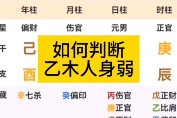 八字没有正官,什么条件下乙木变成甲木