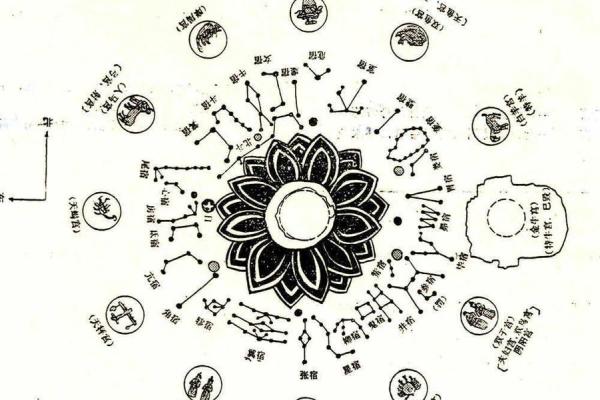 算个紫微斗数 算紫微斗数用什么ai？