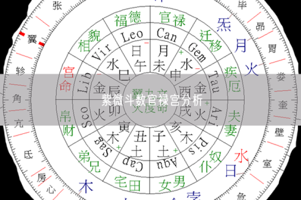 紫薇斗数斗君的意义