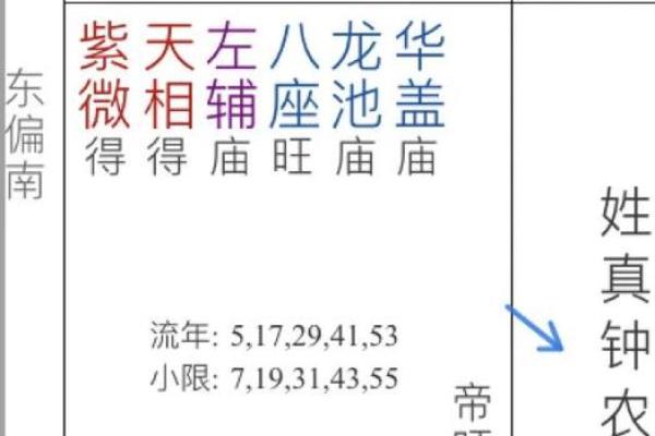 紫微斗数夫妻宫左辅星 女命夫妻宫有左辅星,对方是个怎样的人？