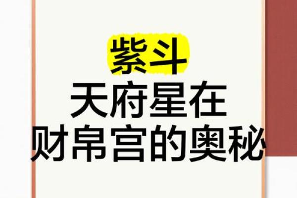 紫薇斗数之天府