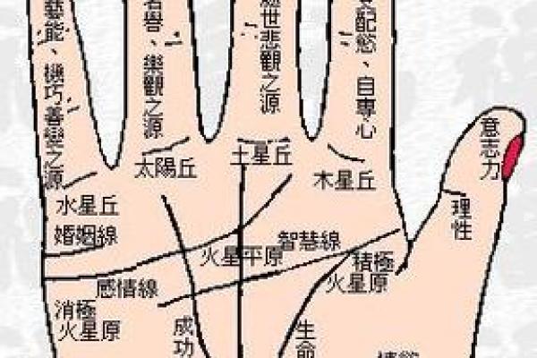 图解：手相障碍线算命