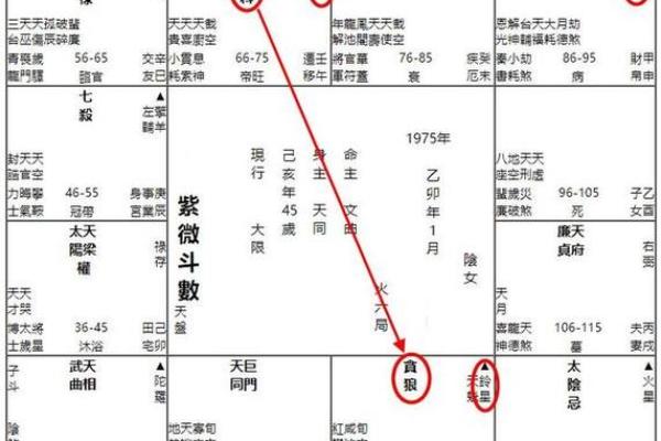紫薇斗数小说免费