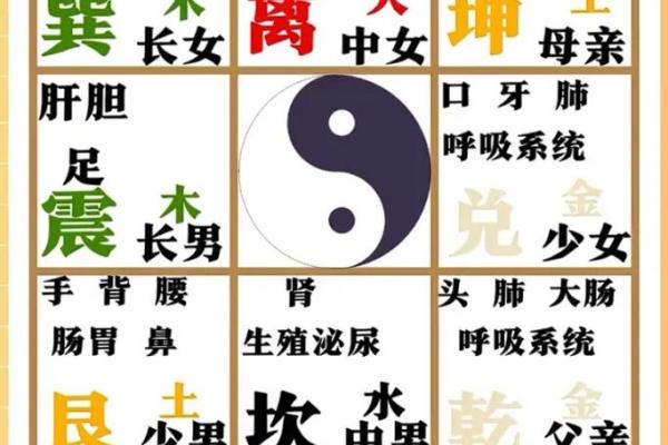 周易算命如何看命运
