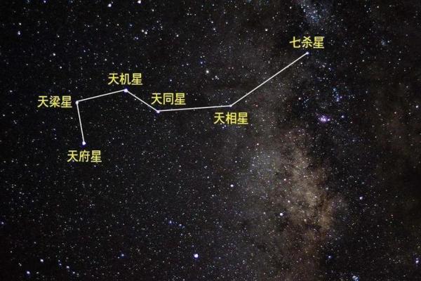 紫微斗数诸星落诸宫之：天同星官禄宫详解