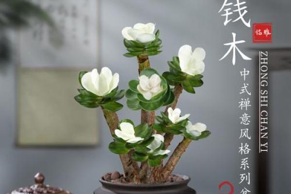 金钱木 风水