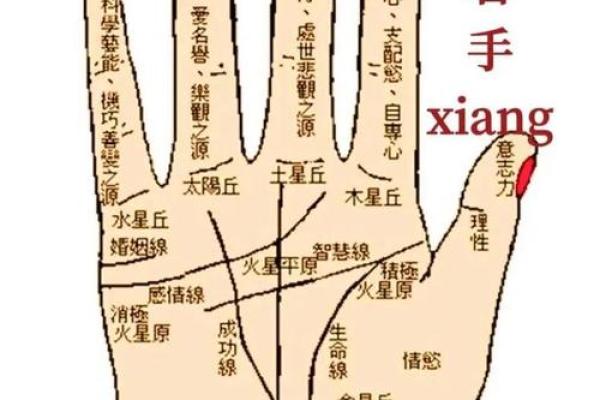 图解：手相金星环算命