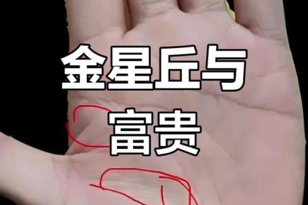 图解：手相金星环算命