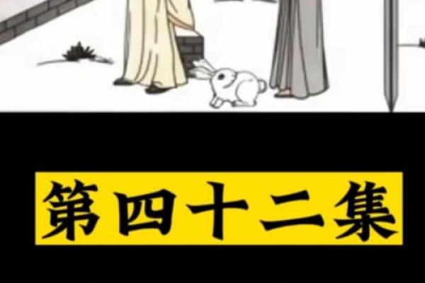 紫薇斗数视频合集
