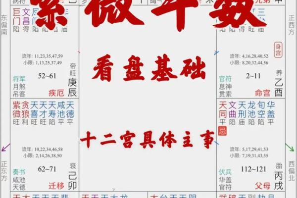 紫微斗数引出禄 紫薇命盘禄是什么意思？