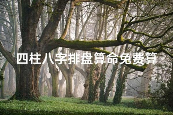 元亨利贞四柱八字
