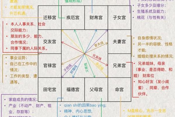 紫薇斗数代表什么