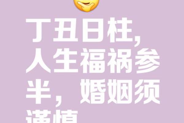 八字提要丁