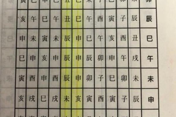 八字巳巳亥