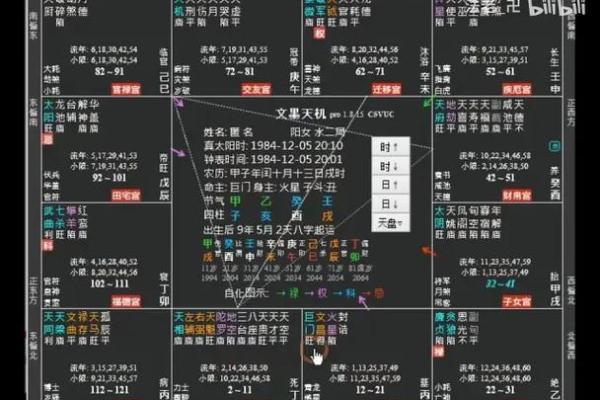 紫微斗数之夫妻宫与诸星,廉贞星在夫妻宫概论 紫微斗数之夫妻宫与诸星,廉贞星在夫妻宫概论