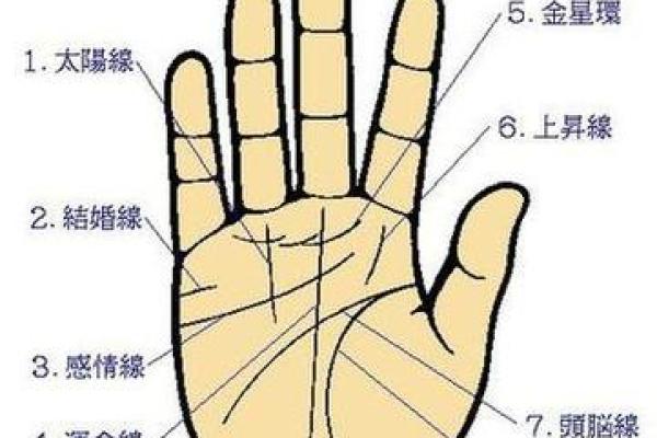 五角星手纹算命图解 五角星手纹手相