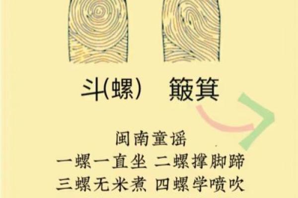4个斗的男人是什么命 手指斗的数量代表什么命