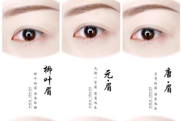 八字眉怎么画