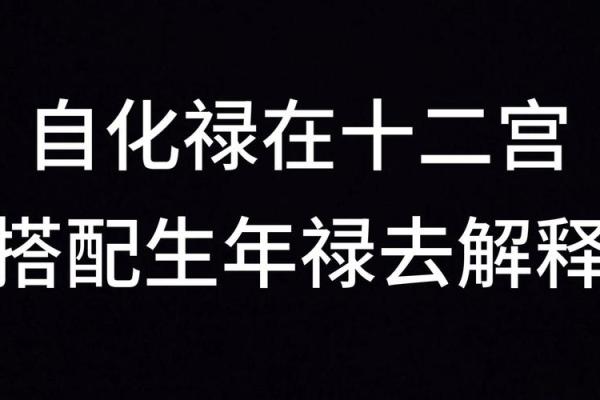 得禄紫微斗数 得禄啥意思？
