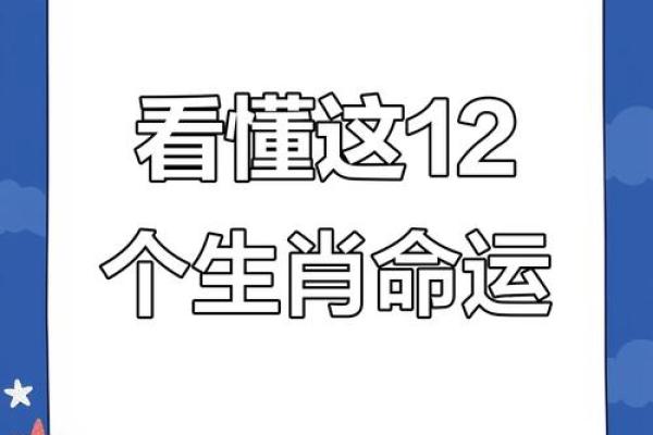 生肖算命软件
