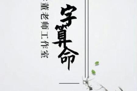 劫食财算命