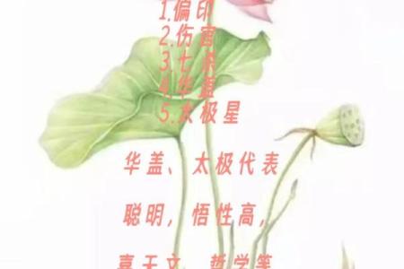 图文命盘算命