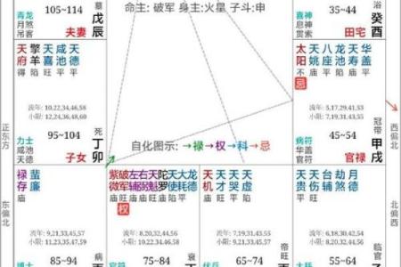 紫薇斗数兄弟代表