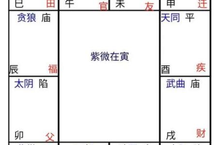 紫微斗数之疾厄宫与诸星，天府星在疾病宫是什么意思？