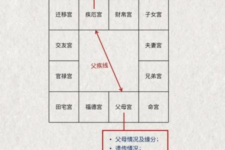 怎么解紫薇斗数