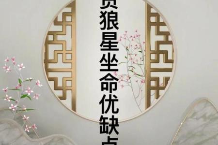 紫薇斗数贪狼火星