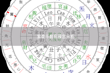 紫薇斗数斗君的意义