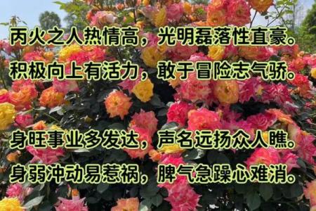 八字干支直断秘诀 如何利用八字干支进行直接断言