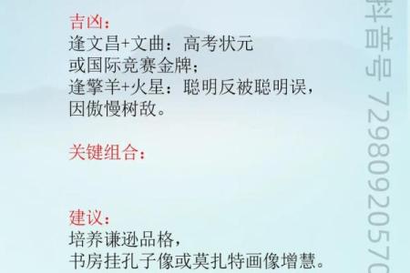紫薇斗数之天才