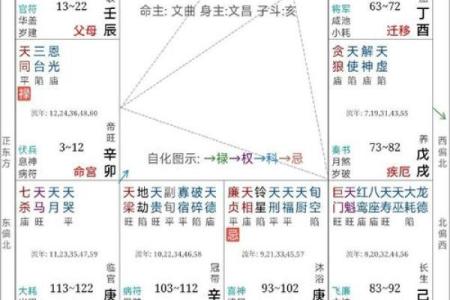 紫薇斗数禁忌