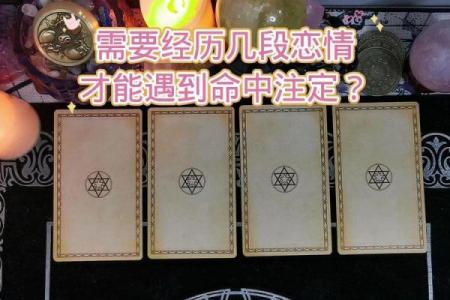 塔罗测试命中注定的伴侣