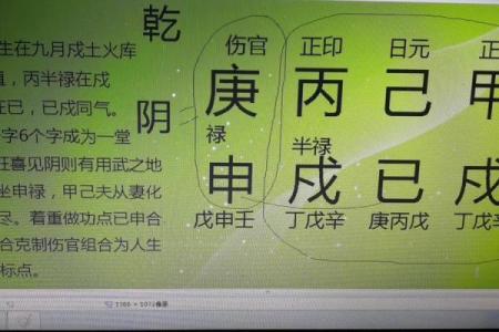 己巳日八字