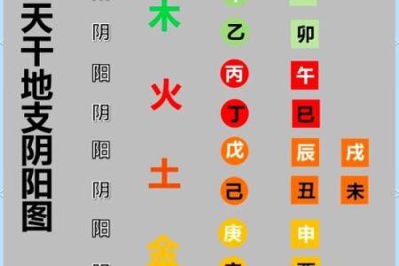 八字纯阴,八字纯阴为什么很有价值