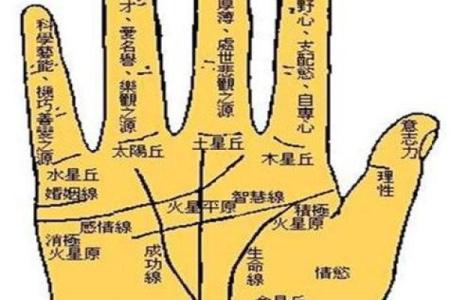 图解：手相障碍线算命