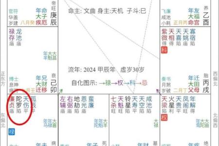 紫薇斗数加会