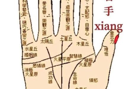 图解：手相金星环算命