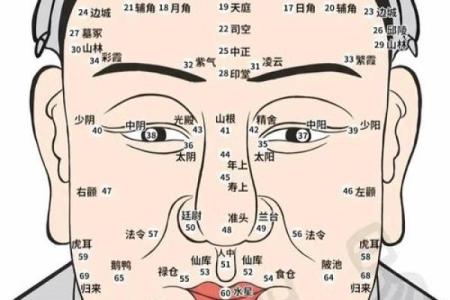 八字眉的女人性格怎样人际关系解答