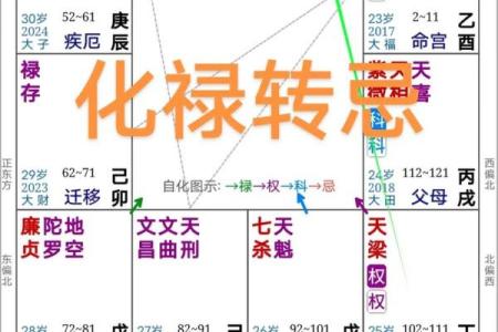 紫薇斗数禄出
