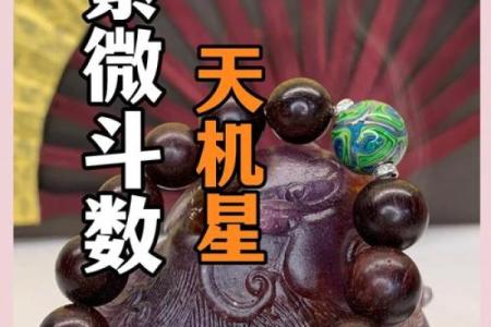 紫微斗数：天机星