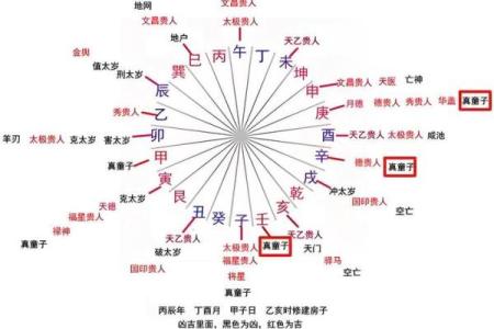 双童子命的大人物 , 算命的说有童子是什么意思