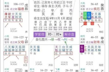 紫微斗数化科星入十二宫的影响